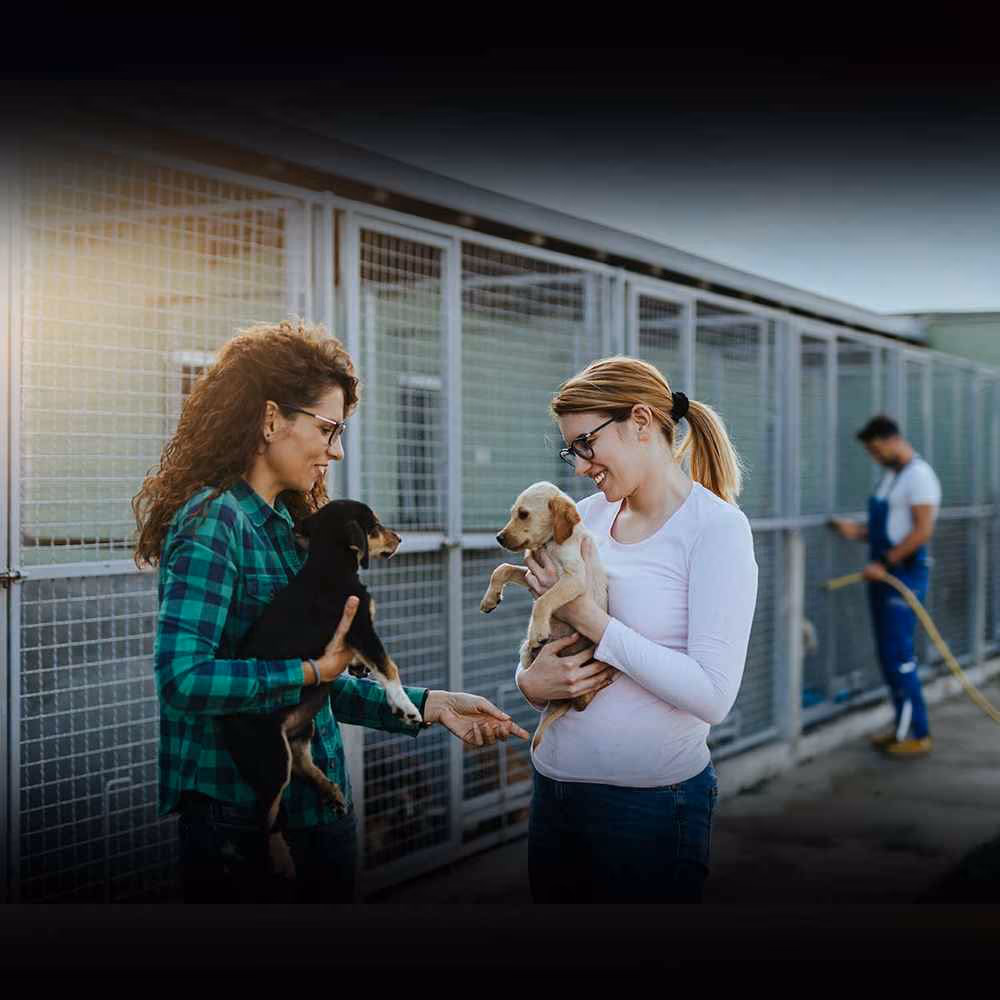Celebrate Shelter Pets Day
