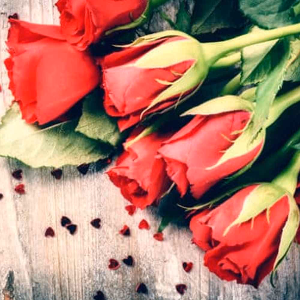 Valentine’s Day
