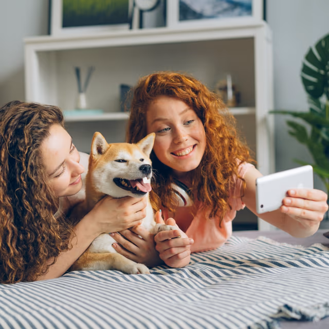 All American Pet Photo Day