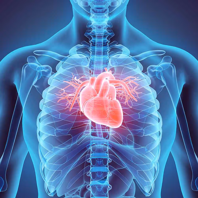 American Heart Month
