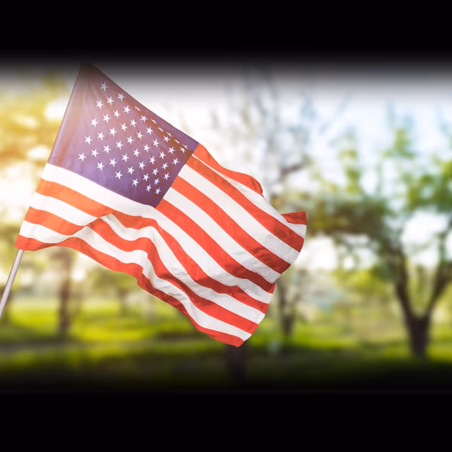 Americas Day