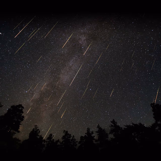 Annual Perseid Meteor Shower Peak Night