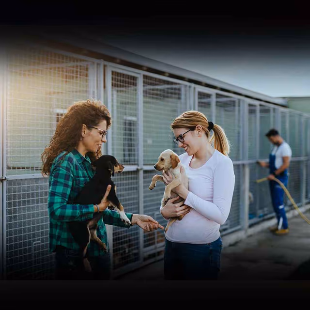 Celebrate Shelter Pets Day