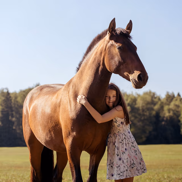 Celebration of the Horse Day