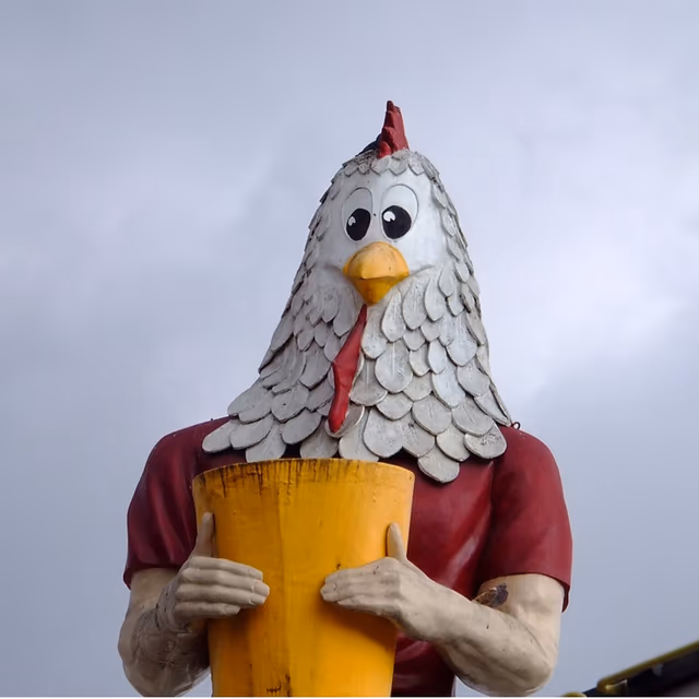 Chicken Boy Day