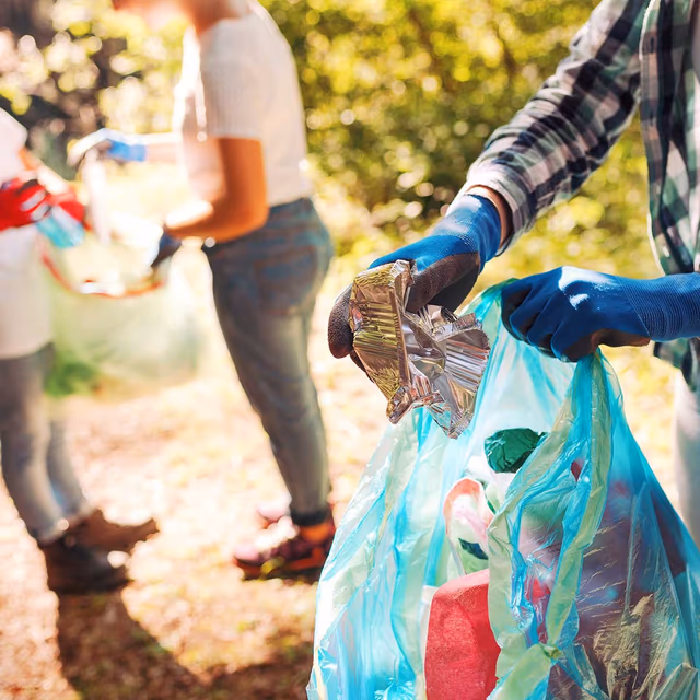 Clean Up Australia Day