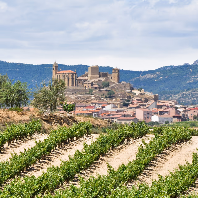 Day of La Rioja