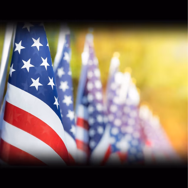 Day of Memorial And Respect For Veterans