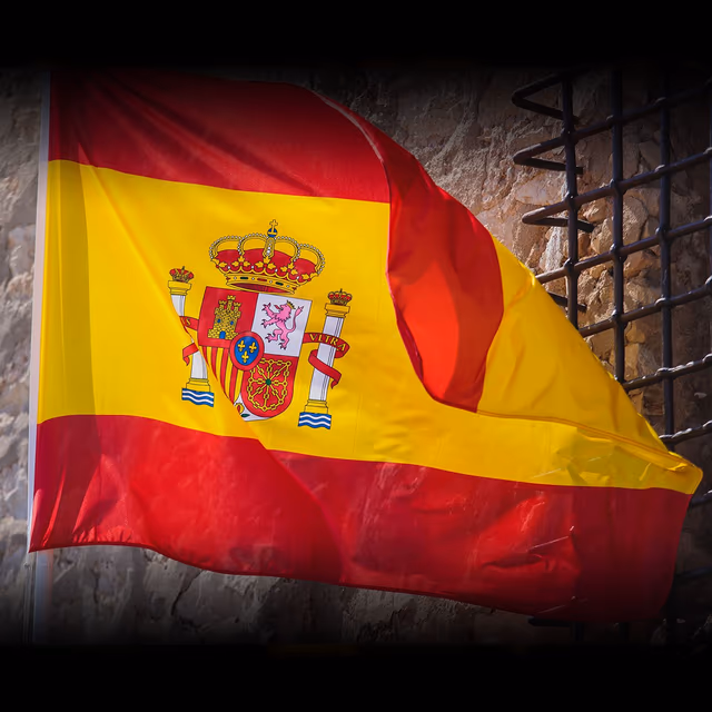 Día de la Constitución (Spain)
