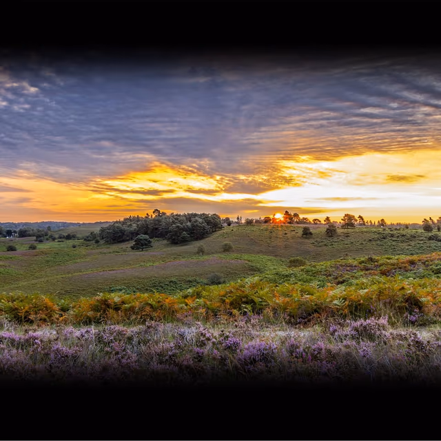 Discover National Parks Fortnight