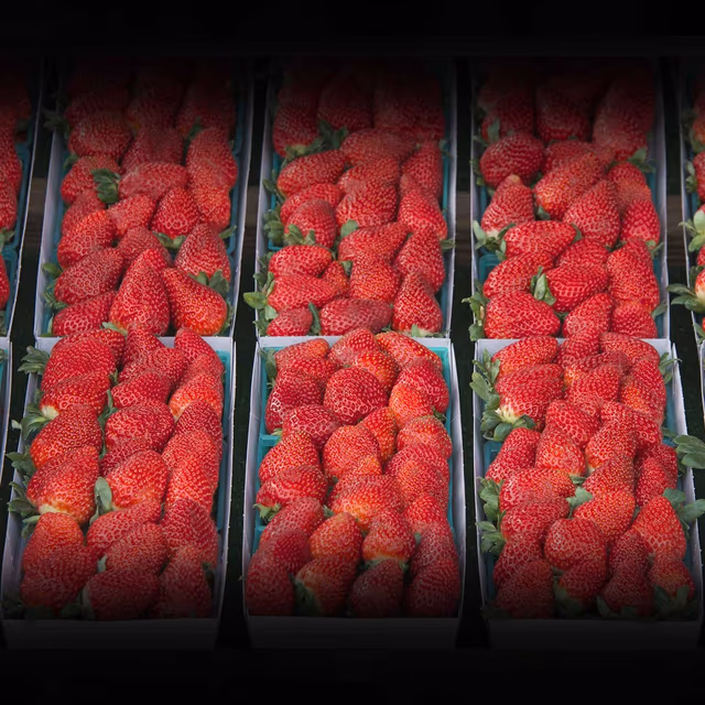 Fabulous Florida Strawberry Month