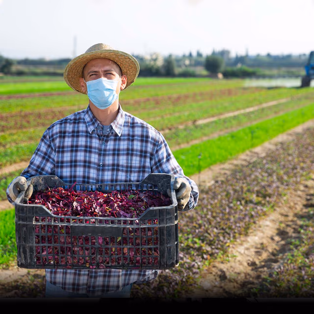 Farmworker Appreciation Day