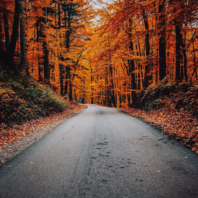 First Day of Autumn