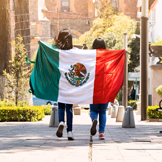 Flag Day Mexico