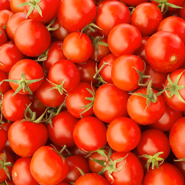 Fresh Tomato Day