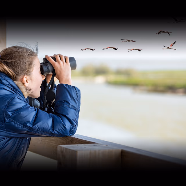 Great Backyard Bird Count