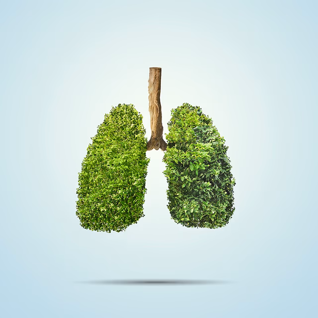 Healthy Lung Month
