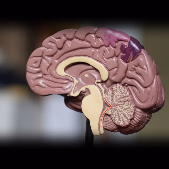 International Awareness Day for Chronic Immunological and Neurological Diseases