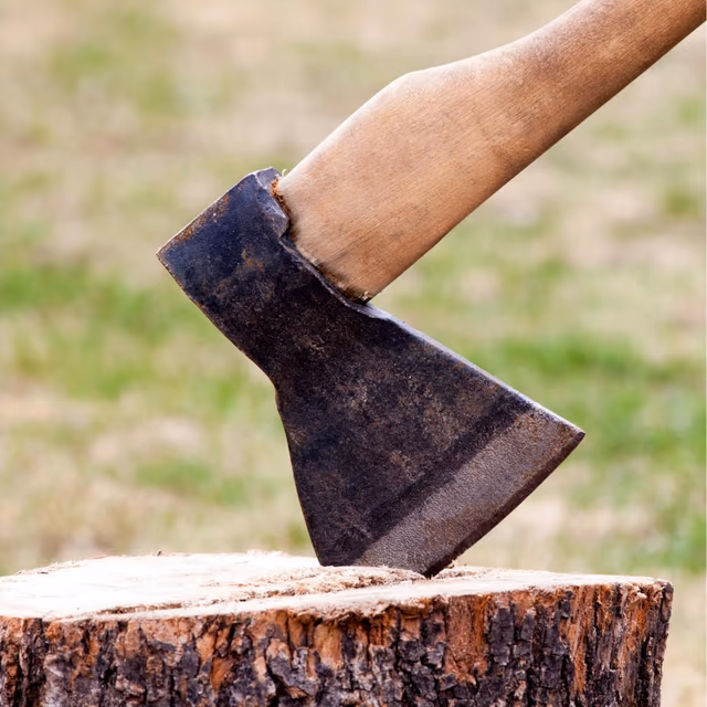 International Axe Throwing Day
