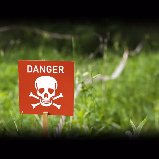 International Day for Mine Awareness and Assistance in Mine Action