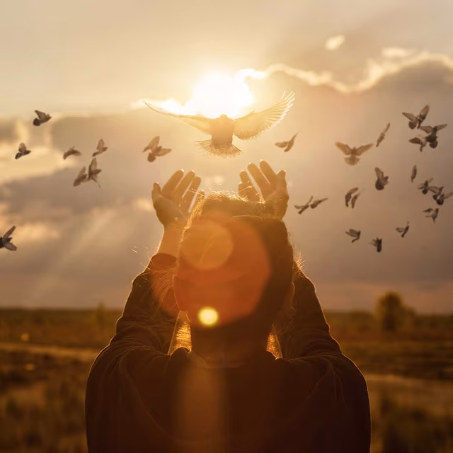 International Day for Preventing the Exploitation of the Environment in War and Armed Conflict