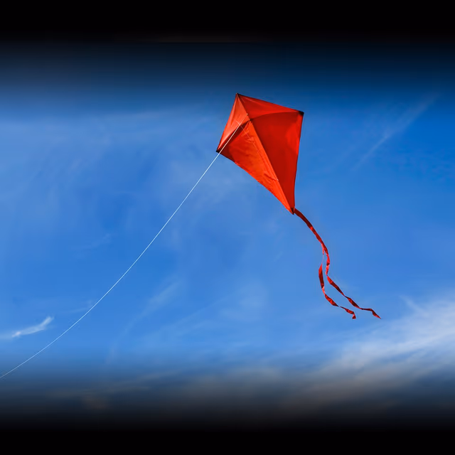 International Kite Day