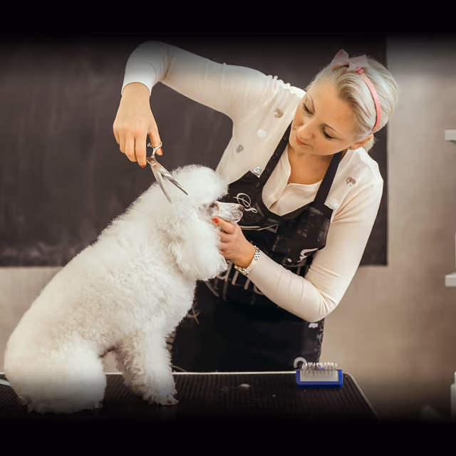 International Pet Groomer Appreciation Day