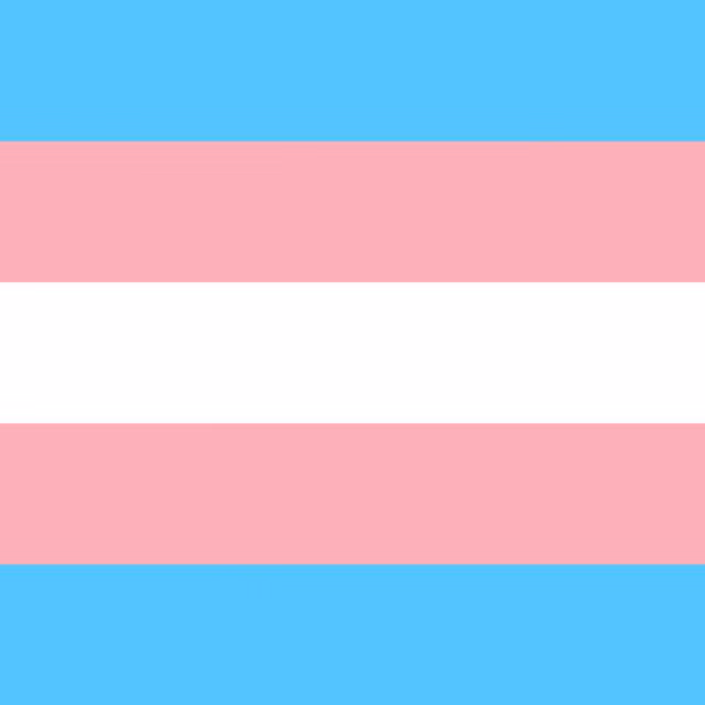 International Trans Visibility Day