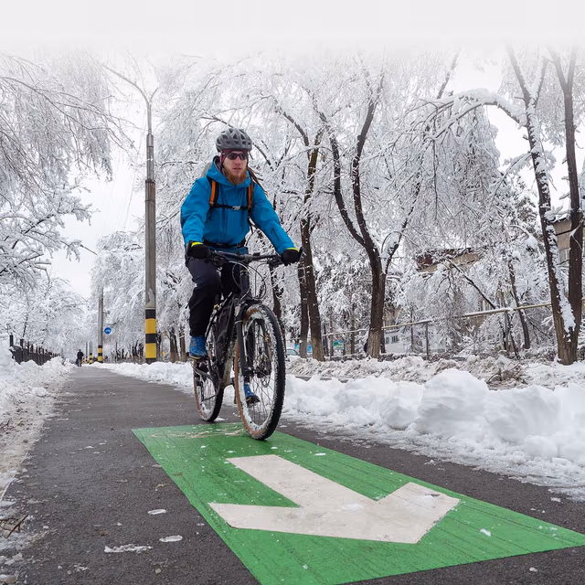 International Winter Bike to Work Day
