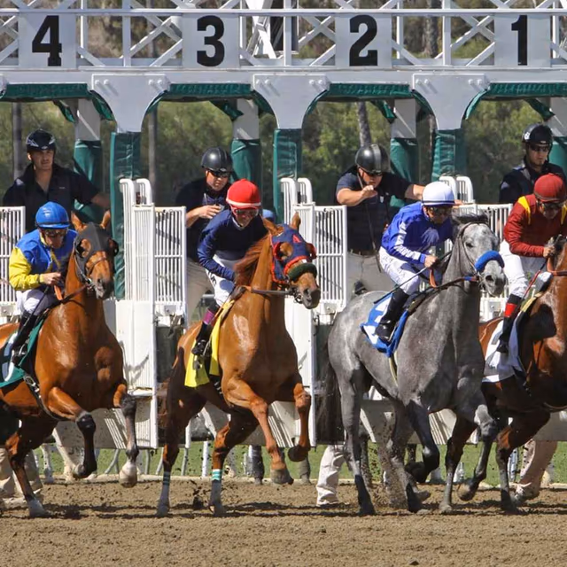 Kentucky Derby