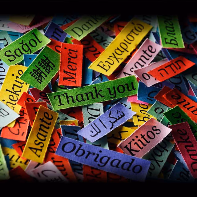 Language Day
