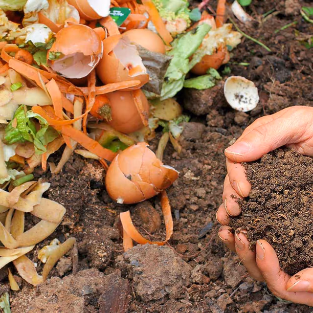 Learn About Composting Day