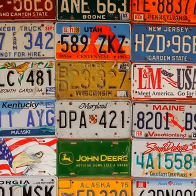 License Plate Day