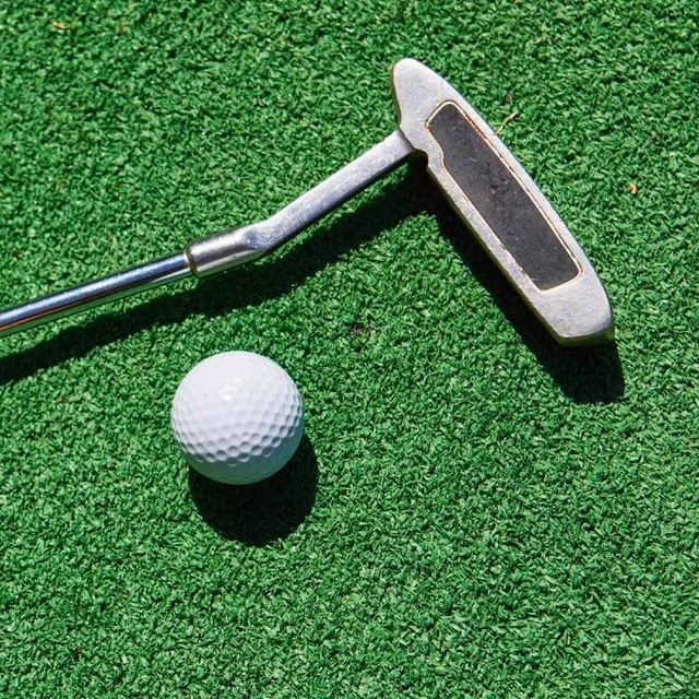 Miniature Golf Day