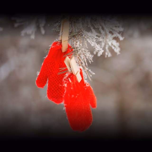 Mitten Tree Day