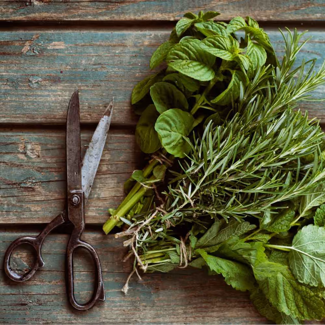 More Herbs, Less Salt Day