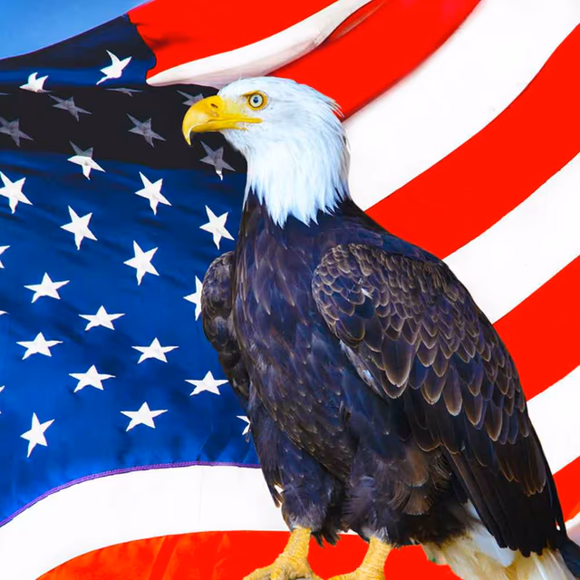 National American Eagle Day