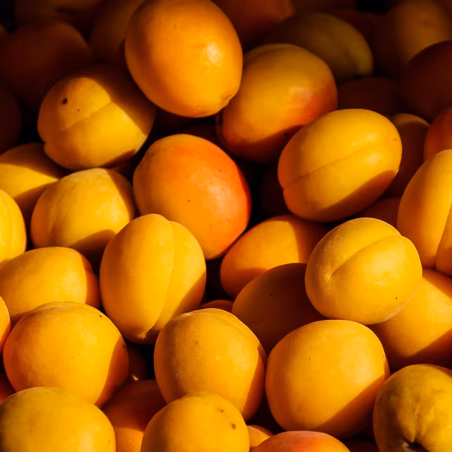 National Apricot Day