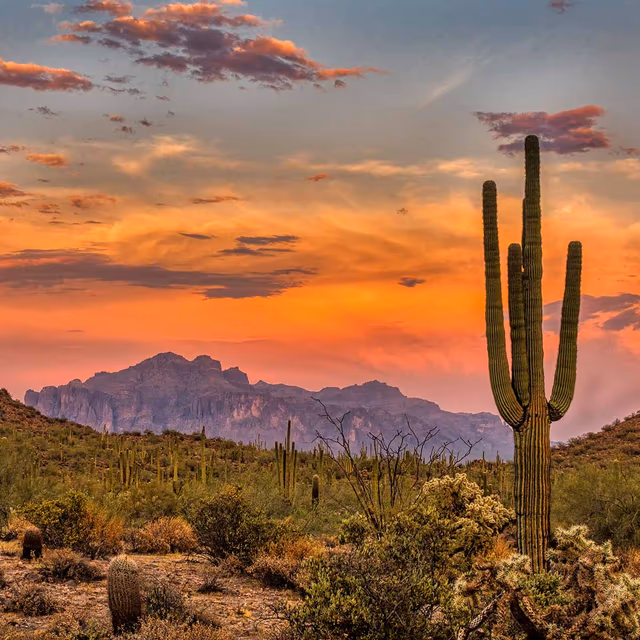 National Arizona Day