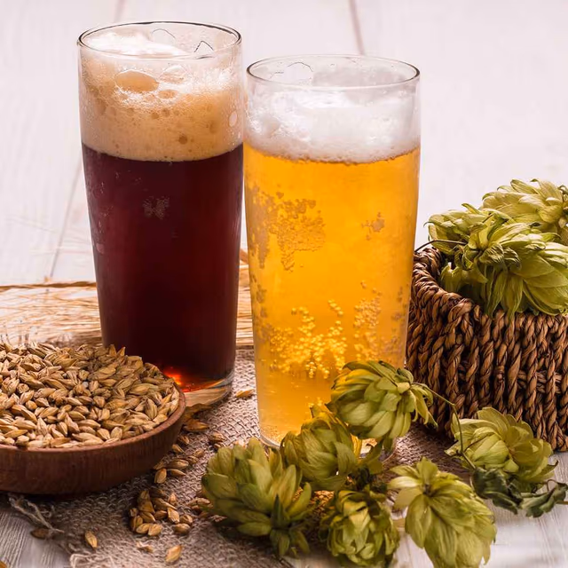 National Beer Lovers Day