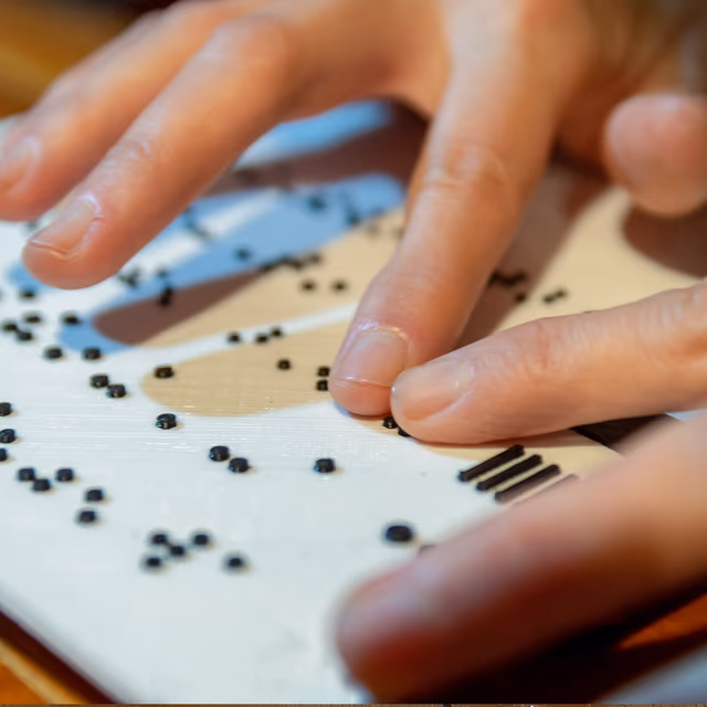 National Braille Literacy Month