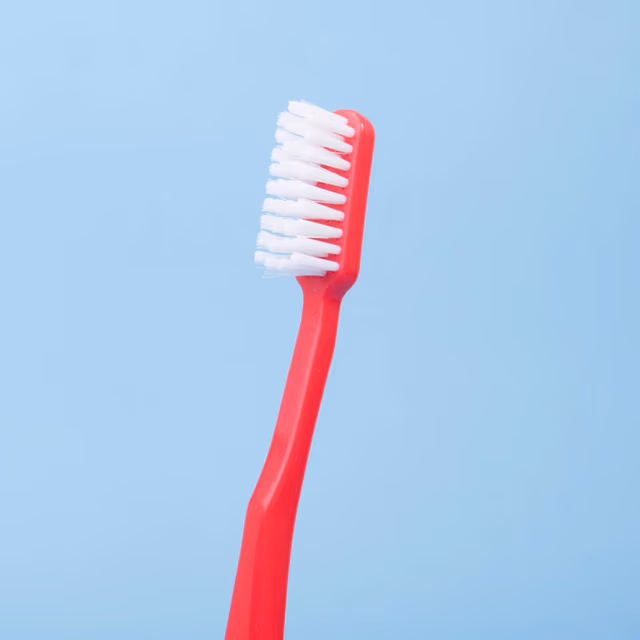 National Brush Day