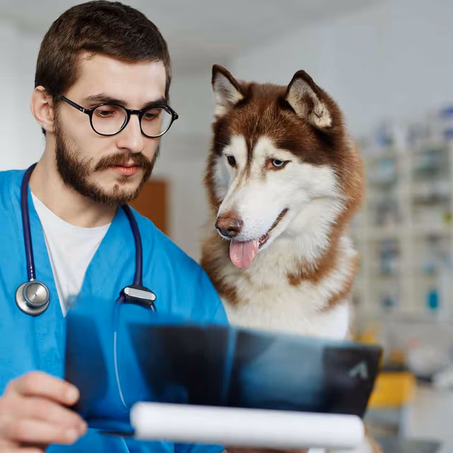 National Canine Lymphoma Awareness Day