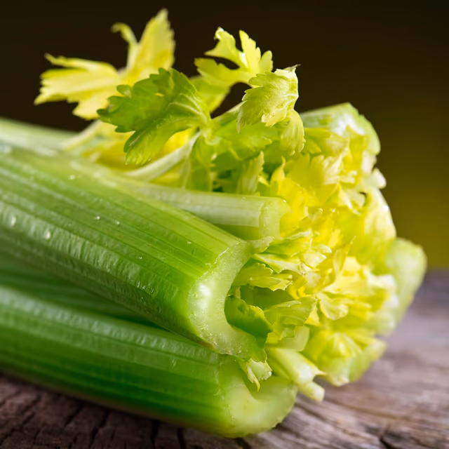 National Celery Month