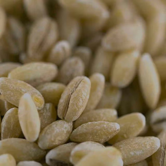 National Celiac Disease Awareness Day