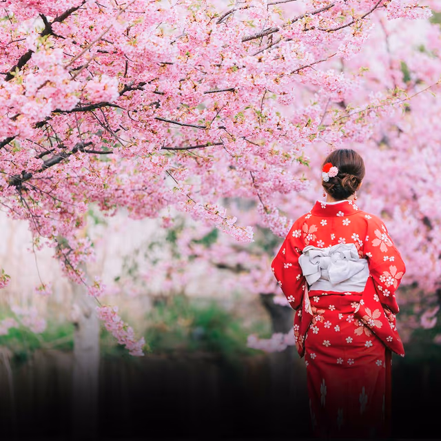 National Cherry Blossom Festival