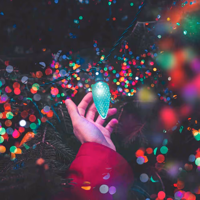 National Christmas Lights Day