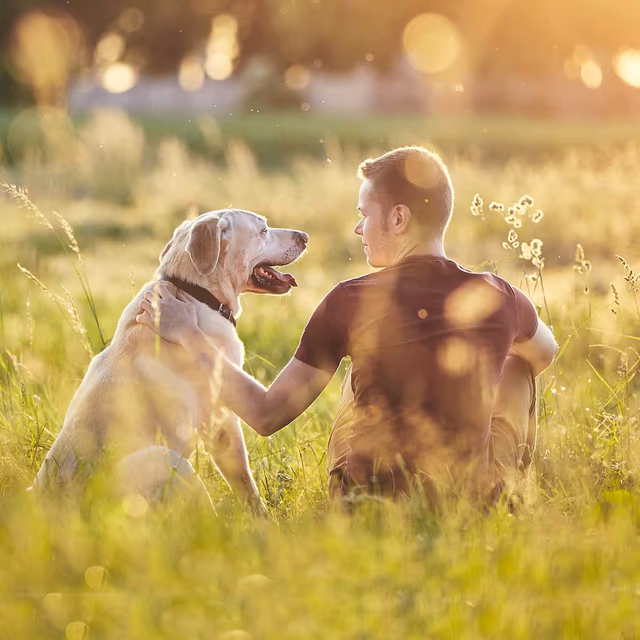 National Dog Dad Day
