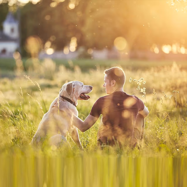 National Dog Parent Appreciation Day