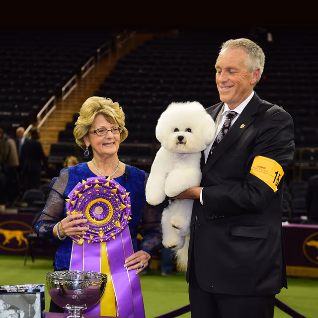 National Dog Show Broadcast